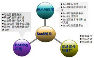 中小企业SaaS服务模式的特征分析及其软件开发策略